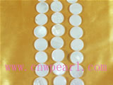 pure white five strands button shaped shell strands